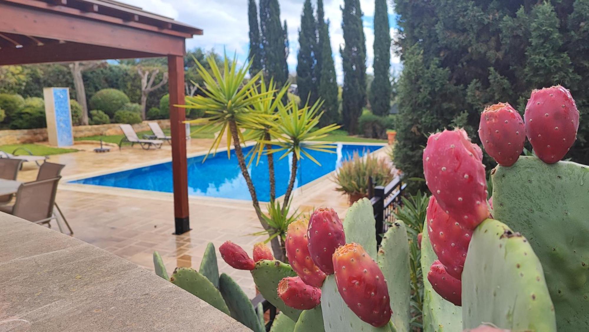 Villa Unidera Kouklia Exterior foto