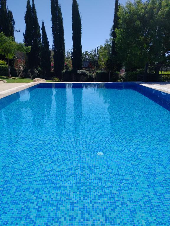 Villa Unidera Kouklia Exterior foto